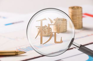 財稅基礎知識培訓心得體會(huì )