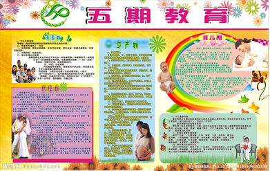 計劃生育基礎知識教育教案,計劃生育基礎知識試題,計劃生育基礎知識培訓內容
