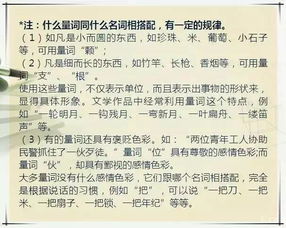 教育部高中暑假語(yǔ)文基礎知識