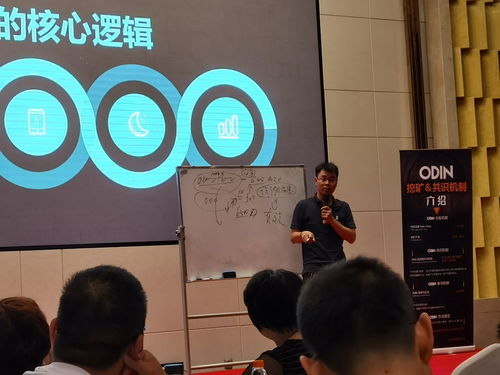 小學(xué)基礎知識培訓