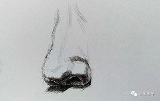 素描的基礎知識大全集