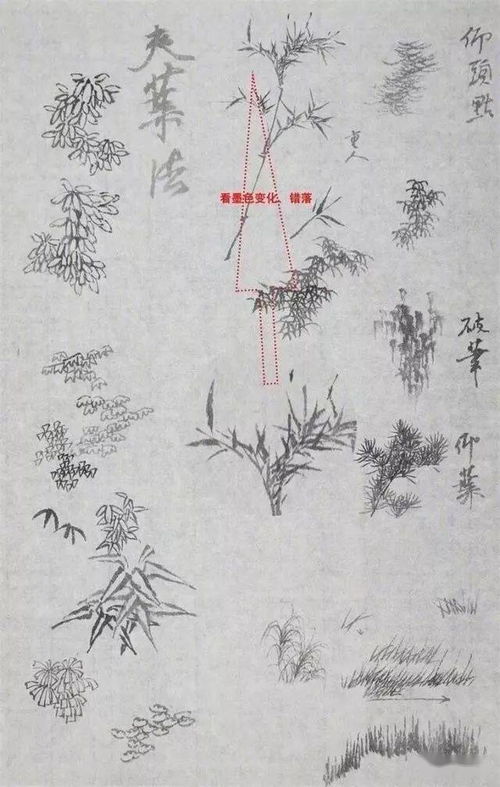 國畫(huà)基礎教學(xué)知識