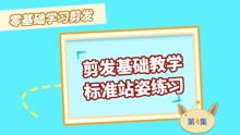 理發(fā)教學(xué)基礎知識