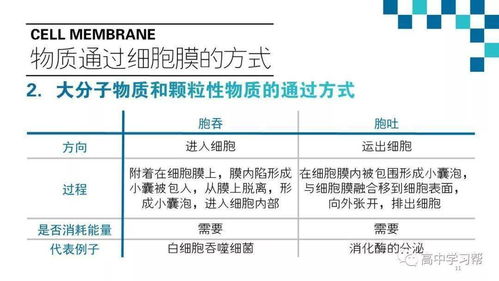 高中生物基礎知識梳理,高中生物基礎知識填空,高中生物基礎知識重點(diǎn)歸納
