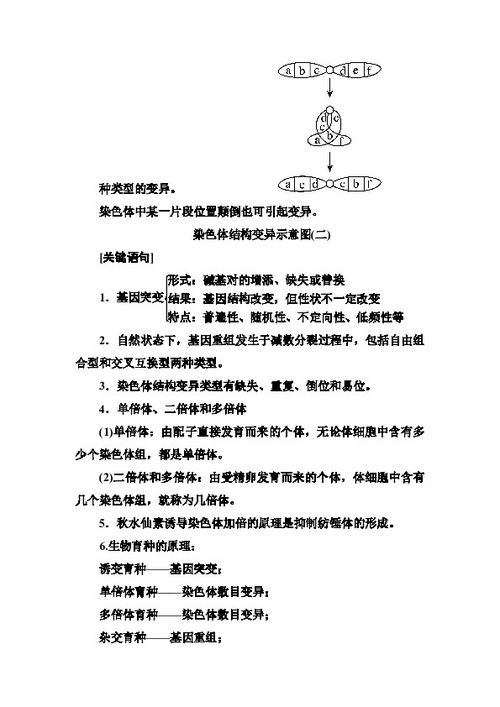 關(guān)于基礎知識的重要性的語(yǔ)句,學(xué)好基礎知識的重要性,基礎知識扎實(shí)的重要性