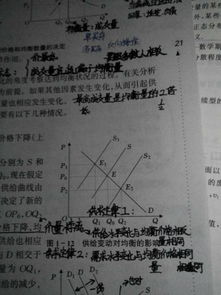 基礎知識,經(jīng)濟學(xué),宏微觀(guān)