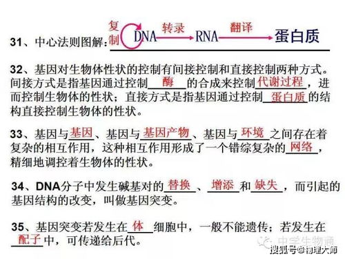 魏華剛基礎知識篇一