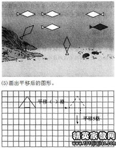 小學(xué)教育基礎知識高頻簡(jiǎn)答題