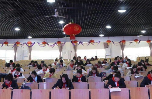 百度少先隊基礎專(zhuān)業(yè)知識