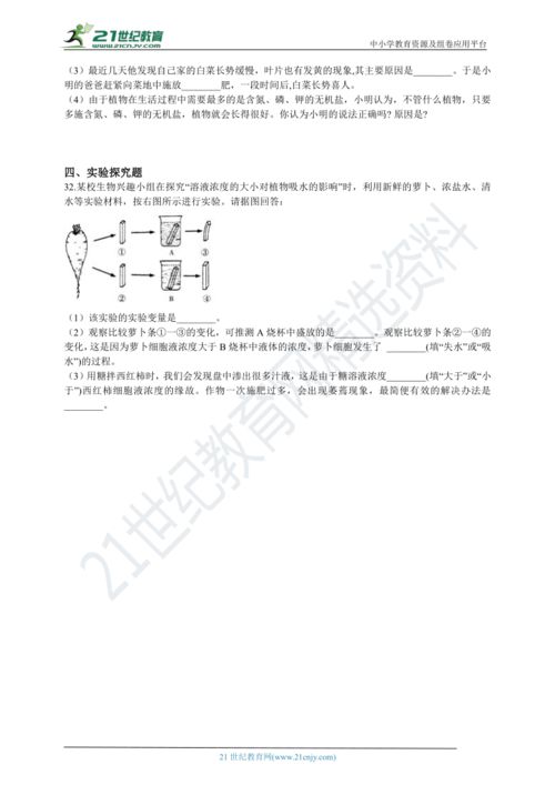 第四章植物分類(lèi)的基礎知識