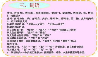 打好,基礎知識,小學(xué)