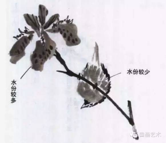 寫意畫鳥基礎(chǔ)知識(shí)