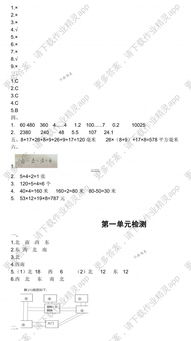 三級數學(xué)學(xué)生知識基礎現狀分析