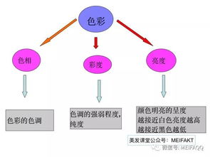 染發(fā)基礎知識理論