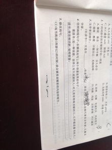 基礎知識,單元,語(yǔ)文