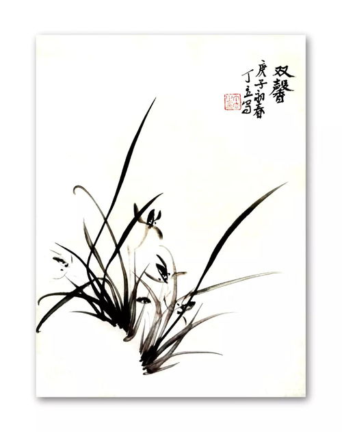 中國畫(huà),蘭花,基礎知識