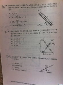 生活環(huán)?；A(chǔ)知識(shí)試題