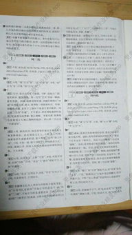 中考語(yǔ)文基礎知識與古詩(shī)文答案