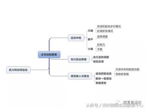 金融市場(chǎng)基礎知識思維導圖,教育基礎知識思維導圖,工程材料基礎知識思維導圖
