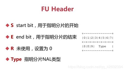 音頻基礎(chǔ)知識培訓(xùn)
