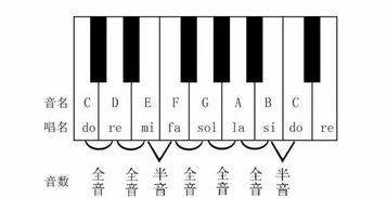 全音半音原理基礎(chǔ)知識