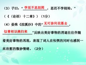 中考基礎知識ppt