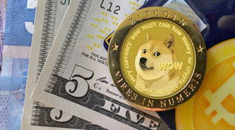 狗狗,基礎(chǔ)知識