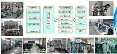 基礎知識,精細化工