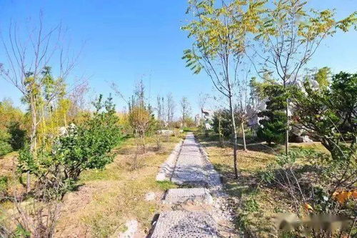 園林綠化基礎知識試題及答案,園林綠化基礎知識教材,園林綠化基礎知識