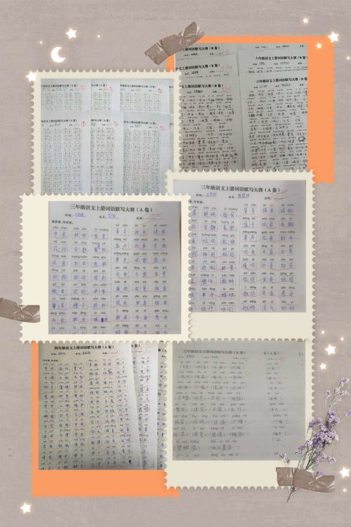 語(yǔ)文如何鞏固學(xué)生基礎知識