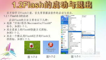 flash基礎知識組