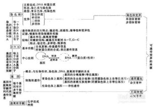 高中各科基礎(chǔ)知識如何學好