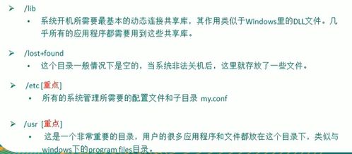 計算機基礎知識wendang