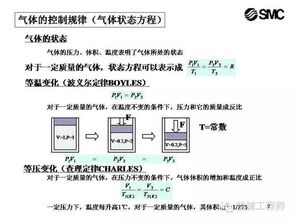 科目一基礎知識理論