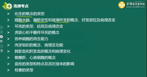 醫學(xué)基礎知識b什么意思