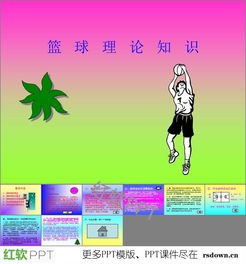 小學(xué)籃球基礎知識課件