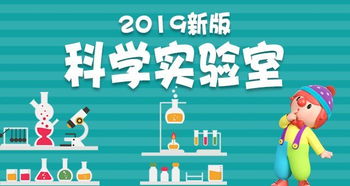 材料科學(xué)基礎知識,生物科學(xué)基礎知識,食品科學(xué)基礎知識
