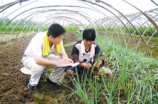 農村基礎知識大學(xué)生村官