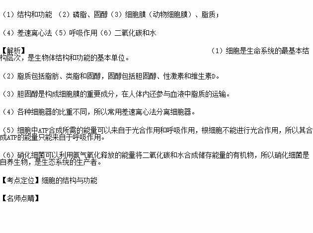 藥化基礎(chǔ)知識(shí)填空