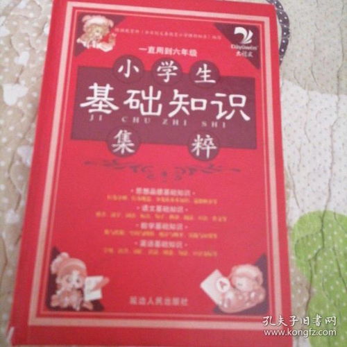 小學生隊員基礎知識