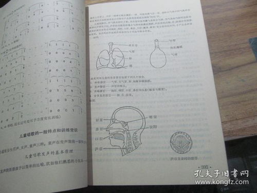 聲樂(lè )基礎知識是什么意思
