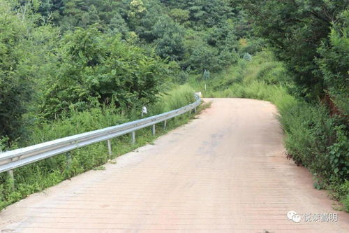 鄉村公路基礎知識