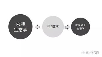 高中生命科學(xué)基礎知識自查