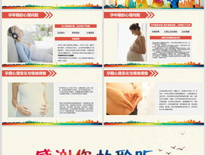 婦科基礎(chǔ)知識宣教課件