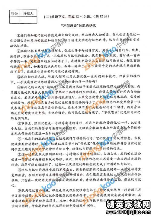 中考語(yǔ)文基礎知識匯總,中考語(yǔ)文基礎知識強化訓練,中考語(yǔ)文基礎知識整理
