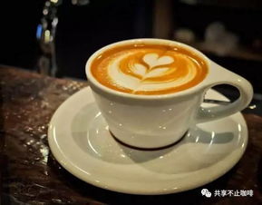 咖啡文化基本知識,咖啡的基礎知識,學(xué)咖啡的基礎知識
