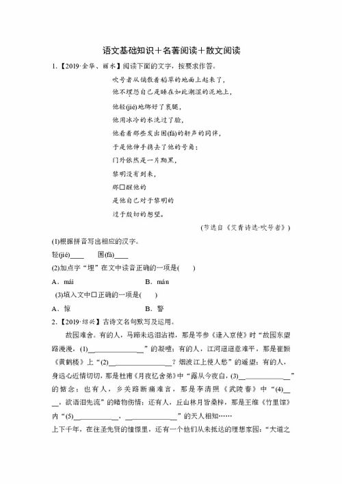 基礎知識,中考,測試卷,語(yǔ)文