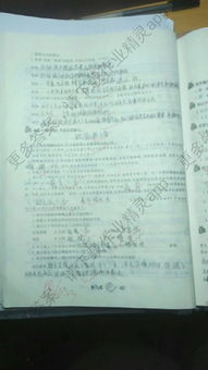 語(yǔ)文s版六級上冊基礎知識總會(huì )