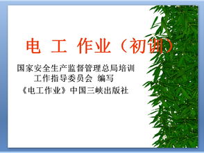 電工作業(yè)安全基礎(chǔ)知識(shí)ppt課件
