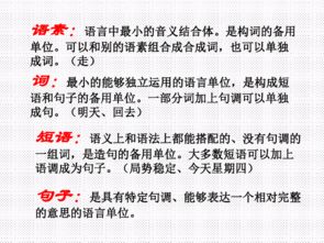 基礎知識,語(yǔ)法,初中語(yǔ)文,結構